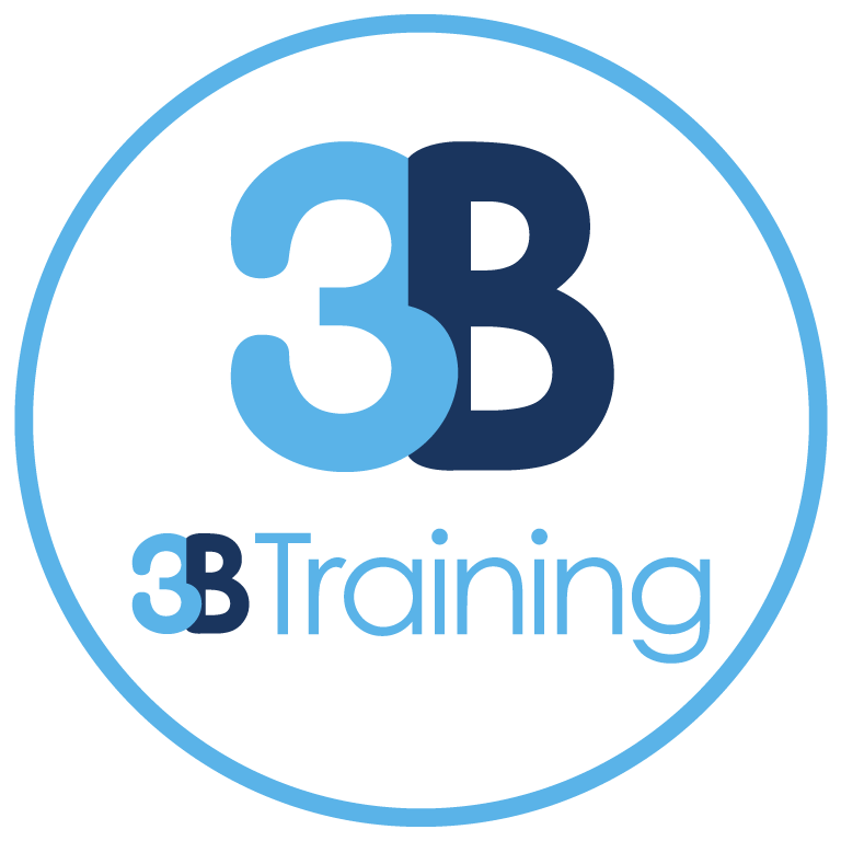 3B Training